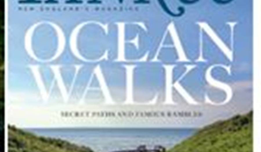 Yankee Magazine Ocean Walks