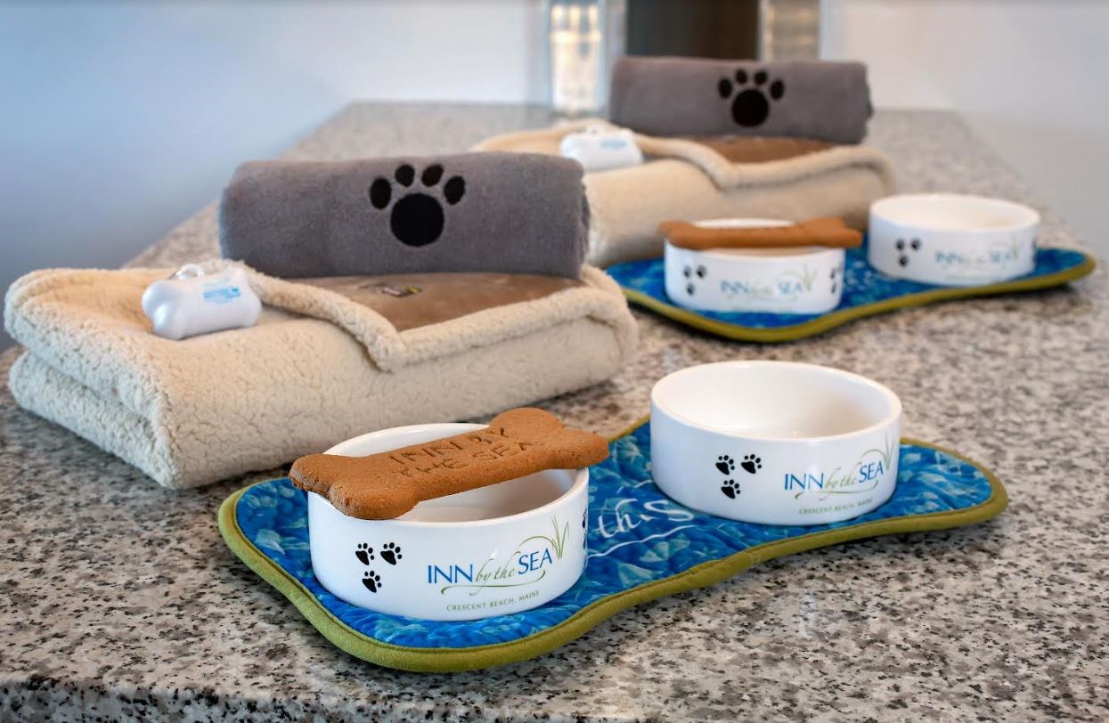 Welcome Amenities For Dogs