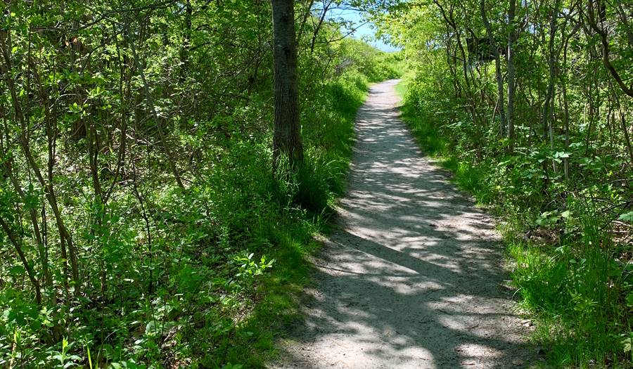 Trails & Nature Walks in Cape Elizabeth, Maine