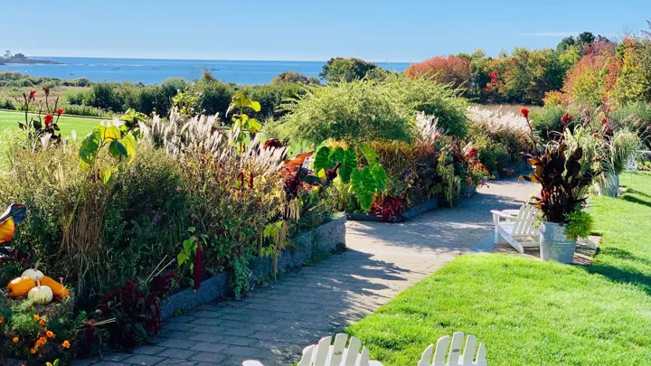 Fall 2021 Lawn W Fall Colors And Ocean