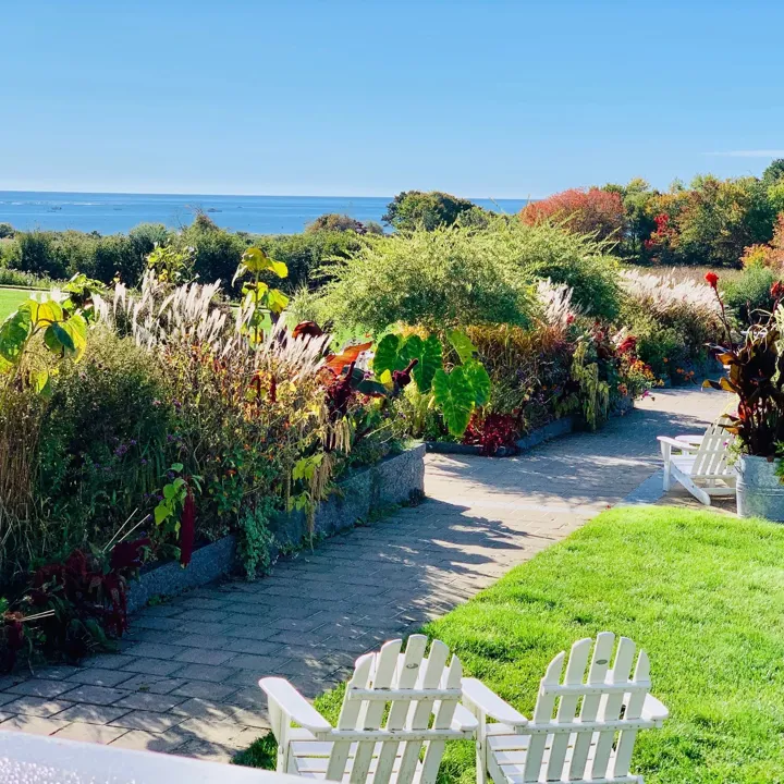 Fall 2021 Lawn W Fall Colors And Ocean