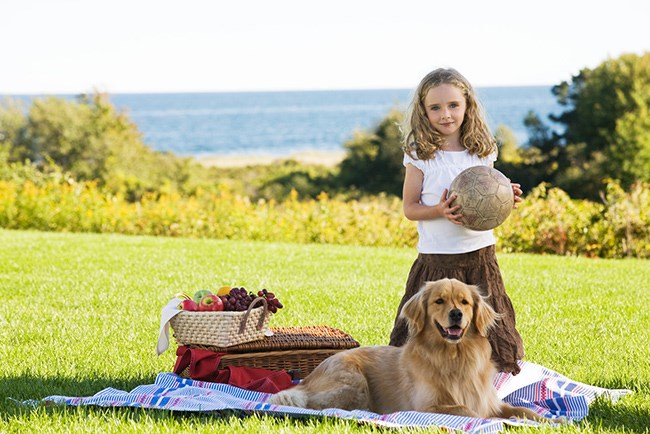 Girl With Golden Retriever Dog