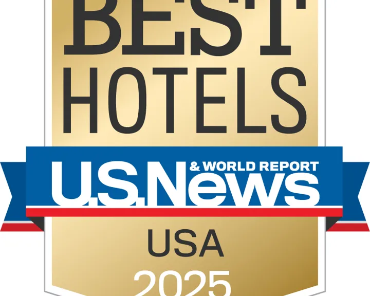 Badge USA (1)