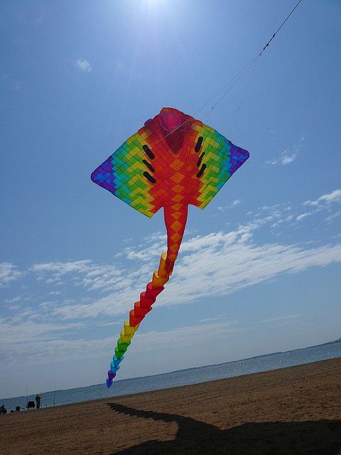 Large Kites F1