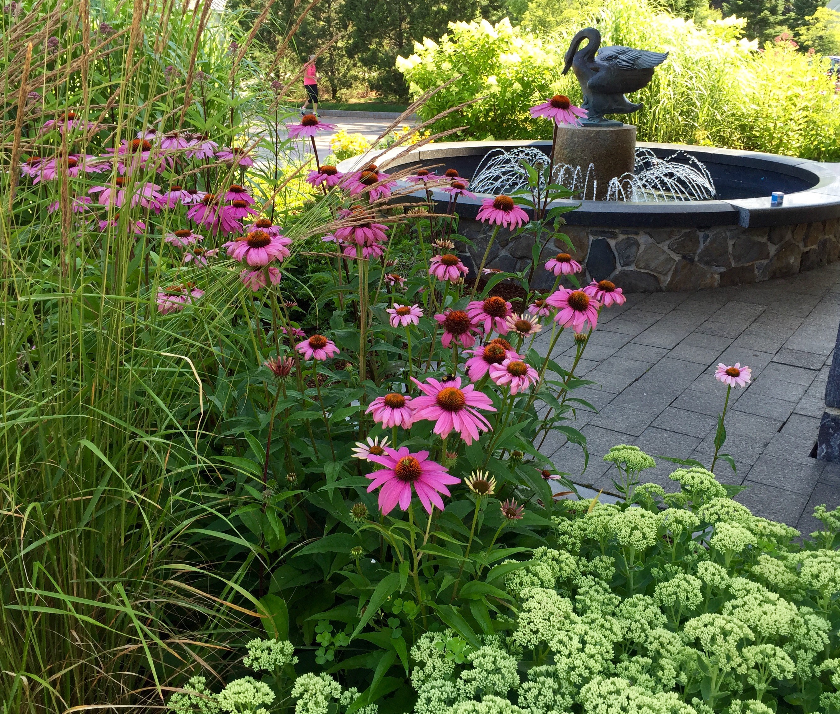 Gardening Tips Maine