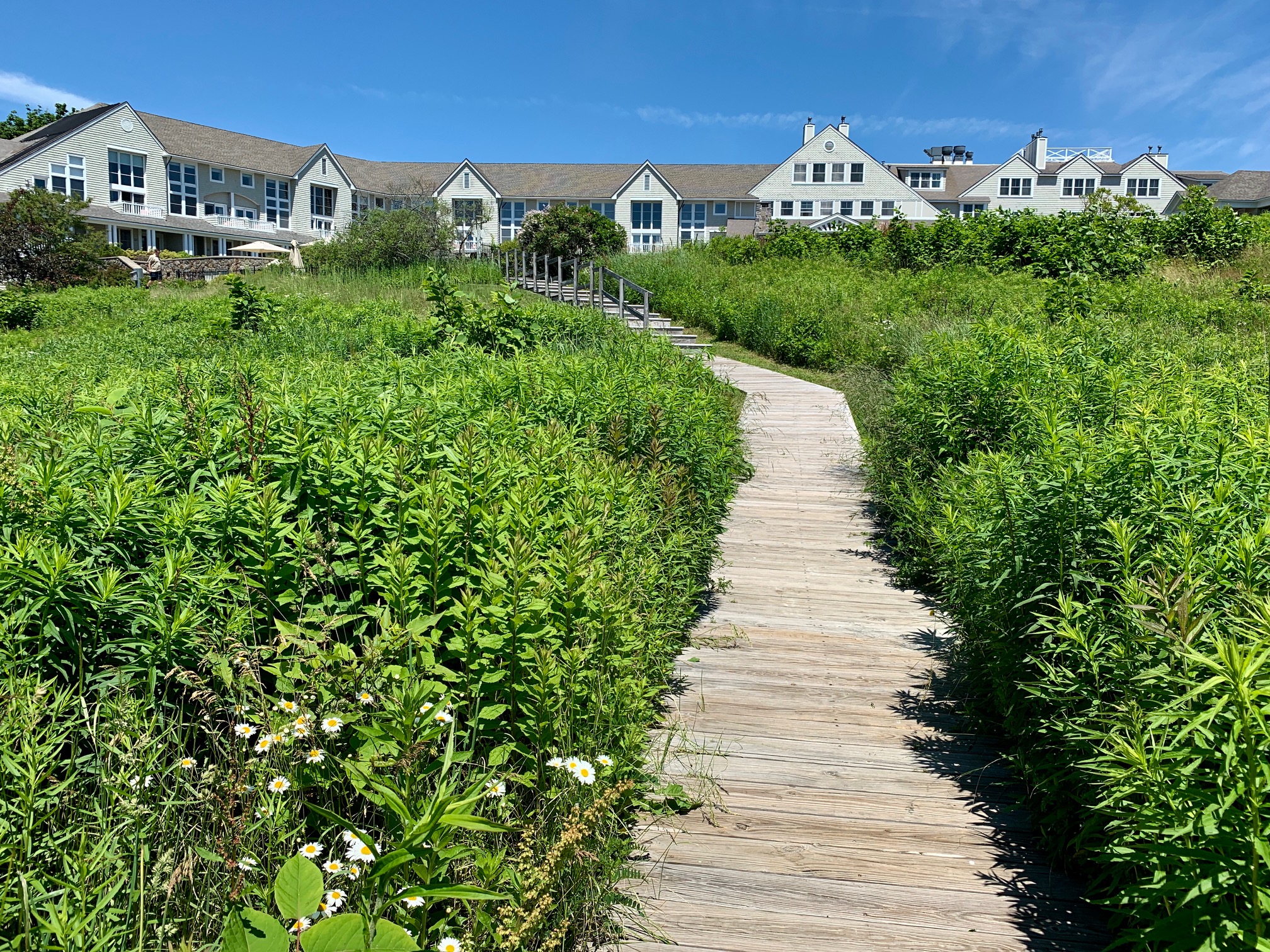 Heading Into Wildlife Sanctuary Inn By The Sea Me