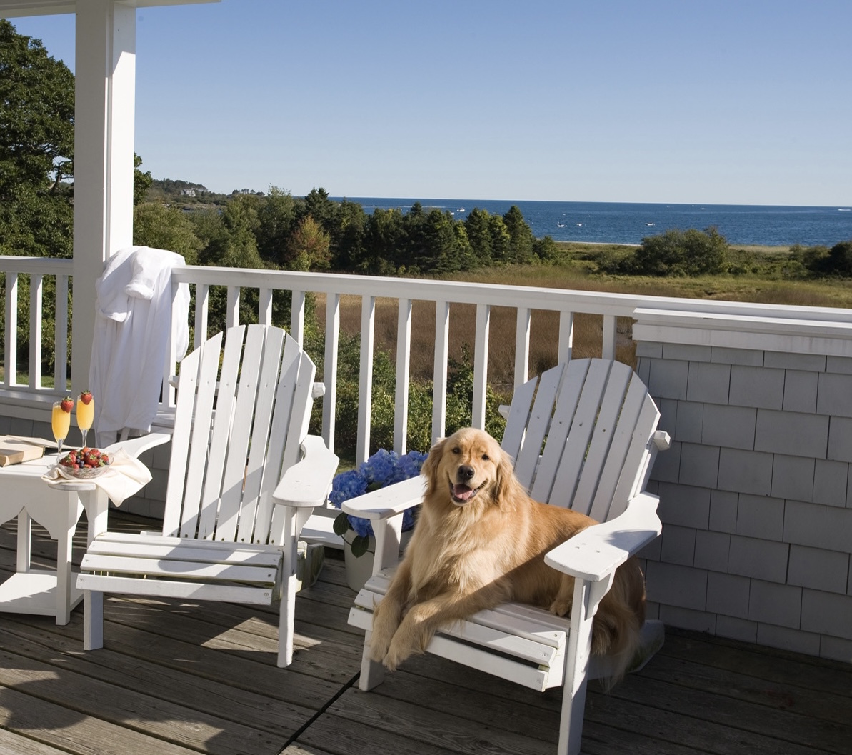 Dogs Welcome At Inn By The Sea ME