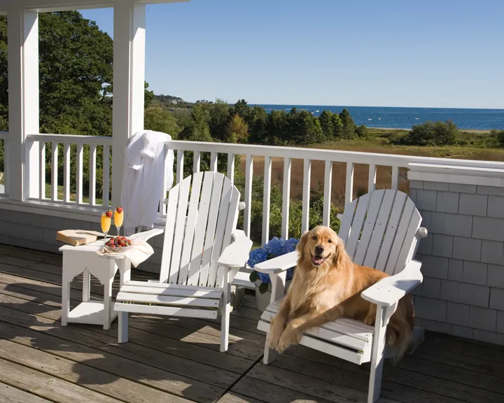 Inn By The Sea Pet Welcoming White Chairs
